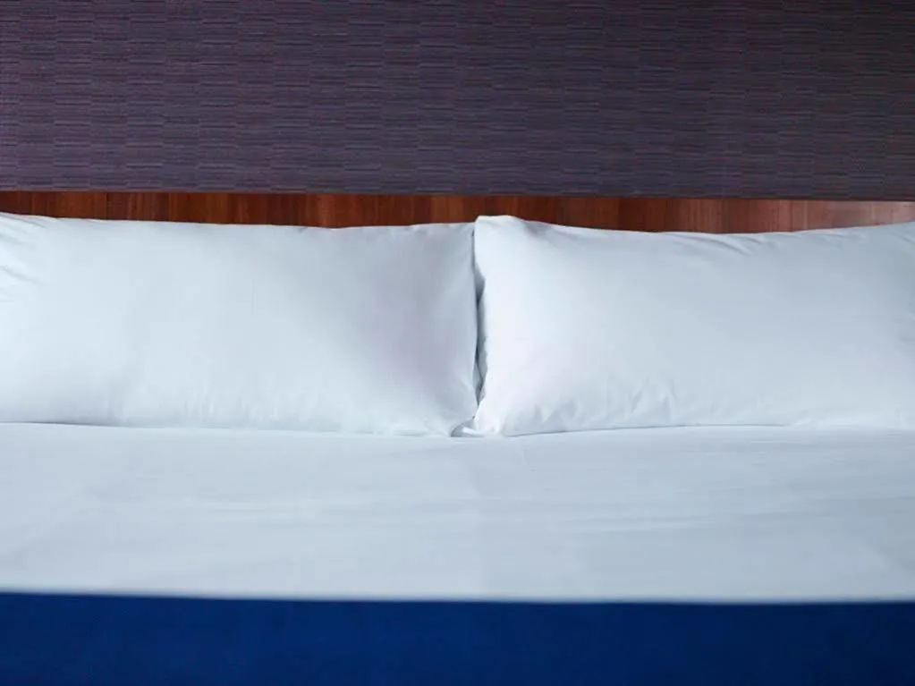 Holiday Inn Express Lille Centre By Ihg